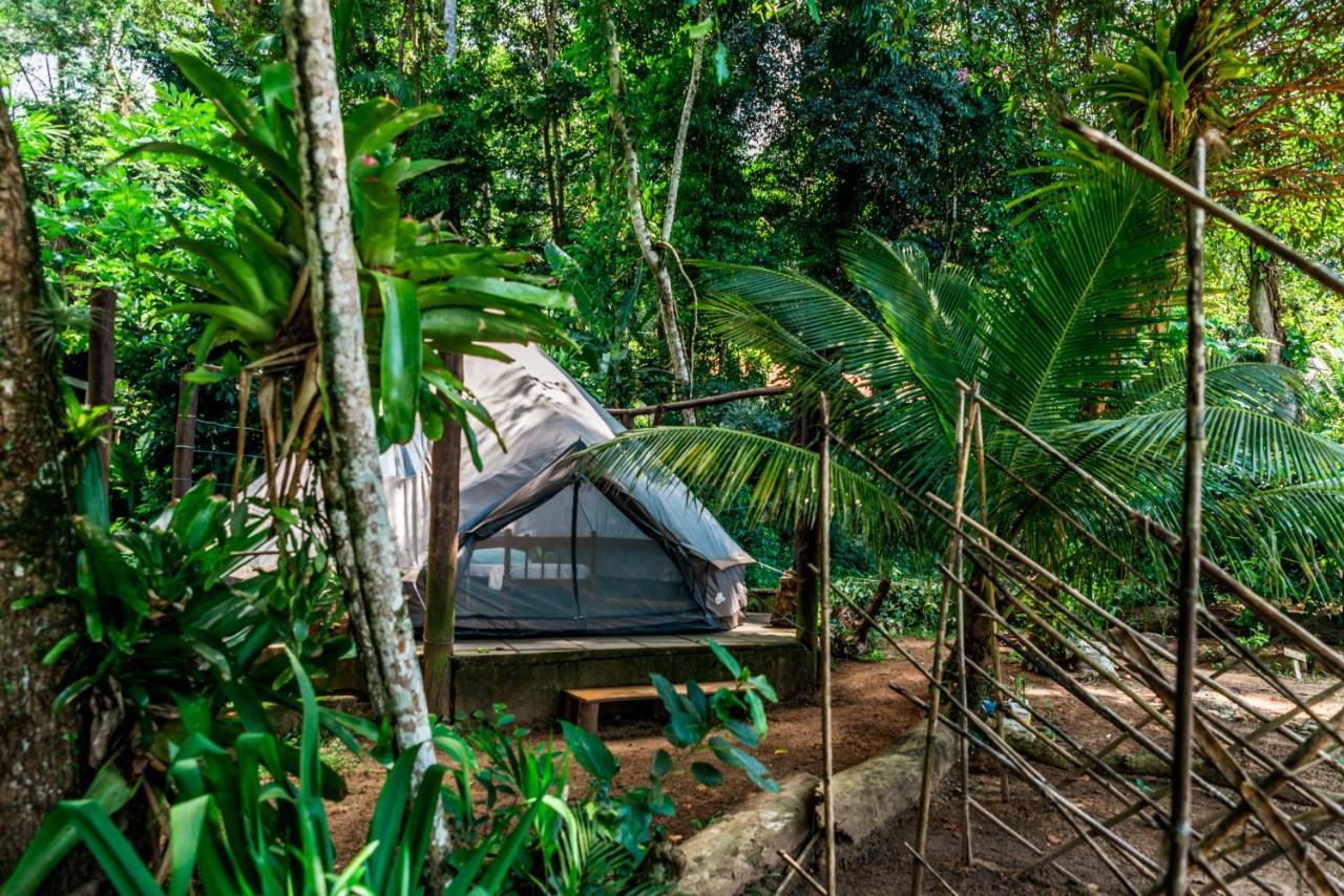 Happy Hammock Eco Beach Paraty