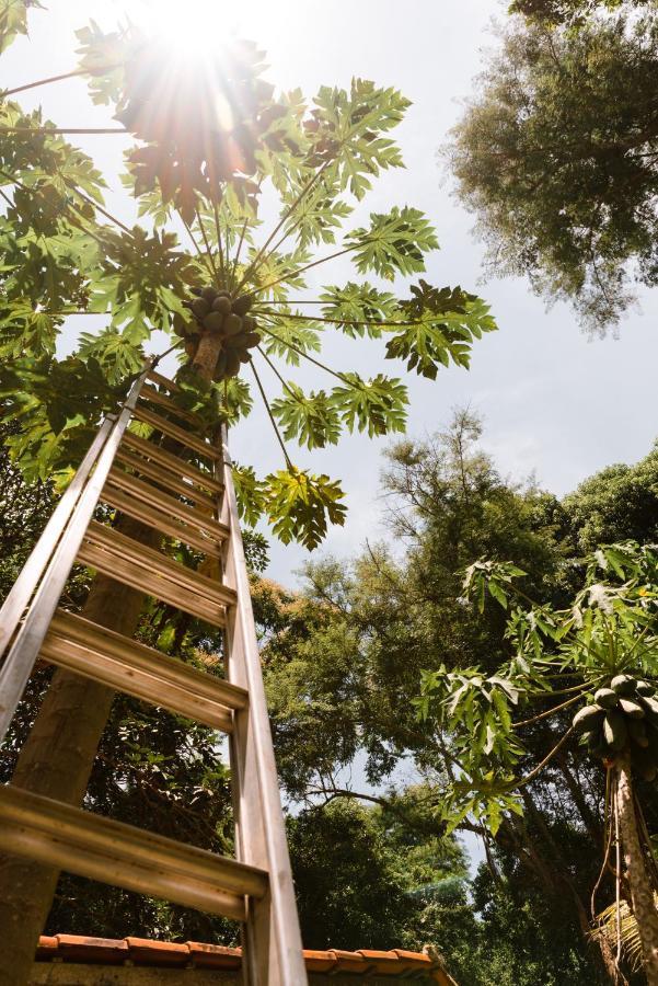 Happy Hammock Eco Beach *
